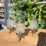 3’Lü Japon Gülü  Kavanoz Gold **ESKİTME