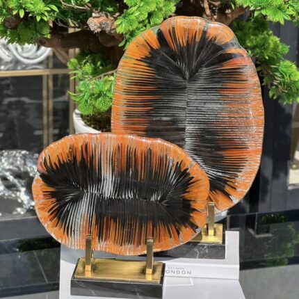 2 Lİ VİVA FÜZYON TURUNCU SİYAH