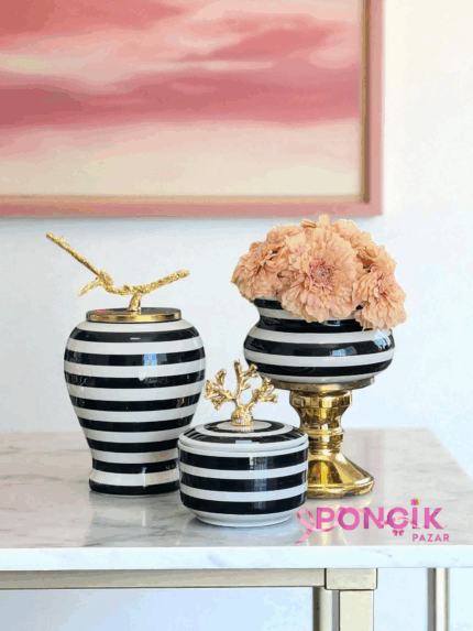 Dekoratif Obje Salon Seti Siyah Zebra Ayaklı Saksı Siyah Şah Siyah Zebra Kutu Gold