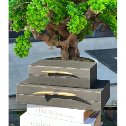 2’Li FİL DİŞİ KUTU SİYAH