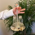 Zeytin Detay Tuzluk & Biberlik & Kürdanlık