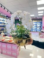 4 Dal Orkide ** ESKİTME