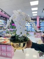 4 Dal Orkide *GOLD - Görsel 2