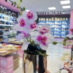 2 DAL ORKİDE *40 cm