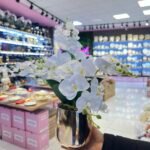 6  DAL ORKİDE *45 cm