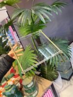 Pleksi sunum çay tepsisi  34 x 29 cm