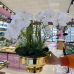 Basıl Vazo Model Orkide * Salon Masası Üstü **GOLD