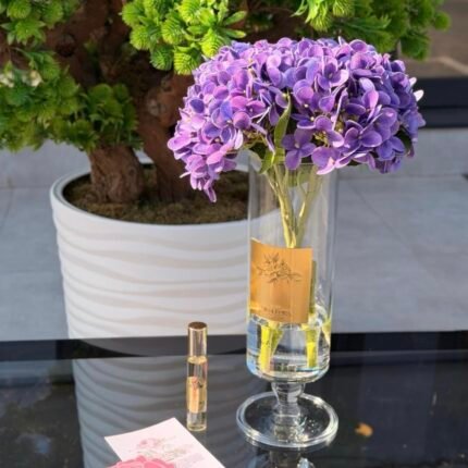 4 LÜ ORTANCA ODA KOKUSU MOR