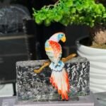 İTHAL BACK PAPAĞAN