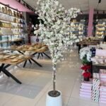 Bahar Dalı Salon Ağacı