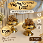 2’Li  SÜKULENT DEKOR KUTU*GOLDEN
