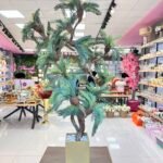 Bonsai Palmiye Ağacı 4432