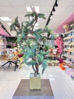 Bonsai Palmiye Ağacı 4432